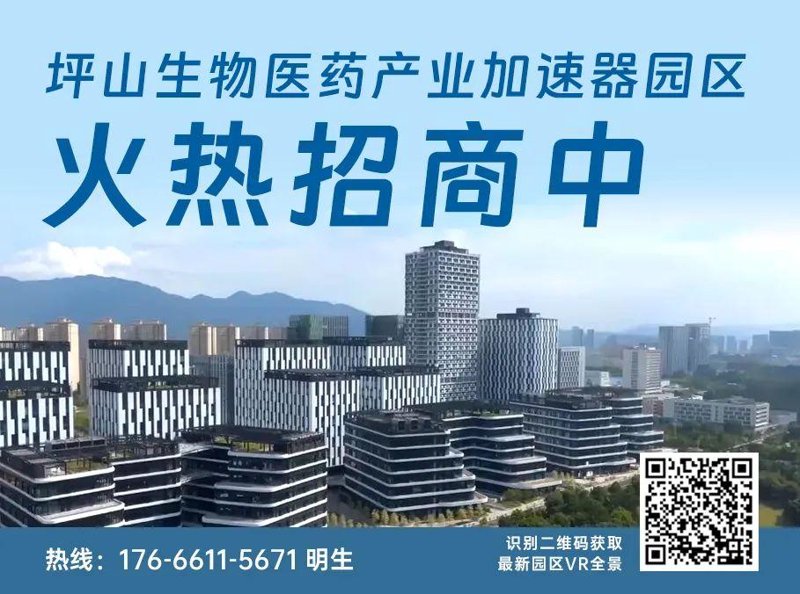 深圳产业咨询:洞察未来趋势,引领发展潮流